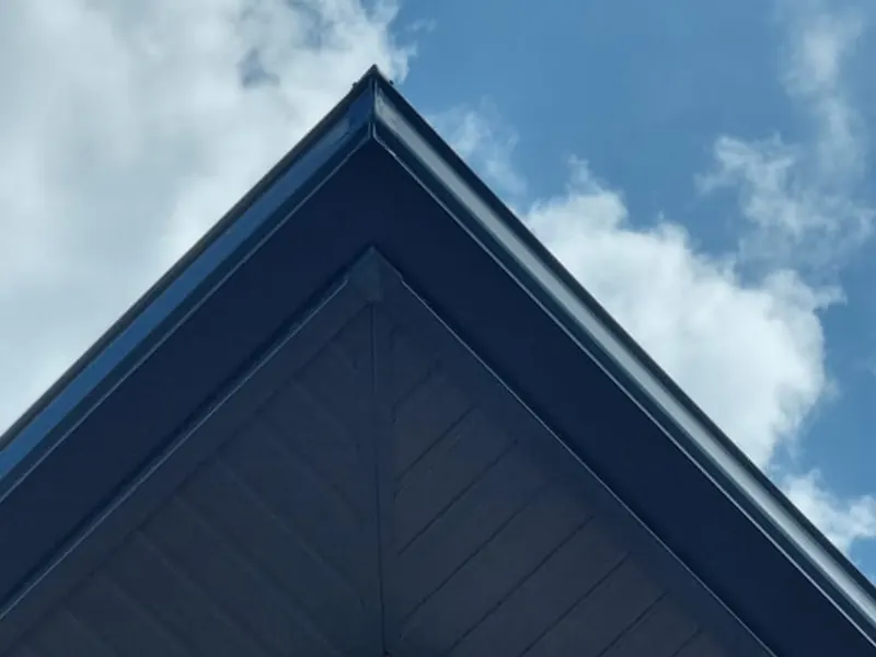 Débord de toit et gouttière aluminium noir — finition soignée
